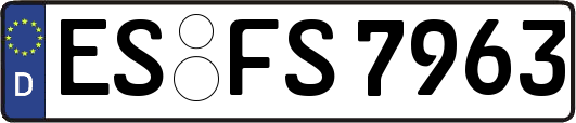 ES-FS7963