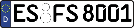 ES-FS8001