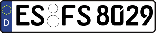 ES-FS8029