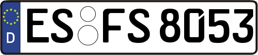 ES-FS8053