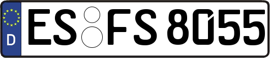 ES-FS8055