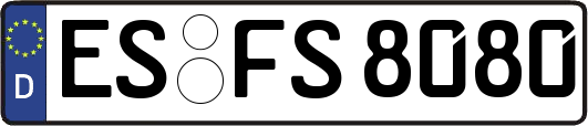 ES-FS8080