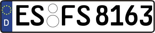ES-FS8163