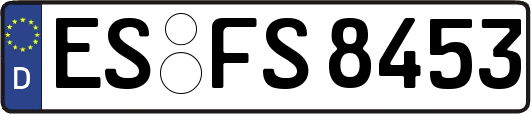 ES-FS8453