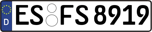 ES-FS8919