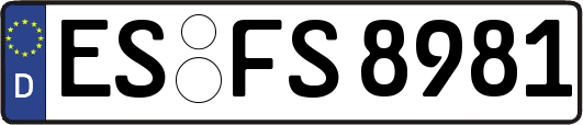 ES-FS8981