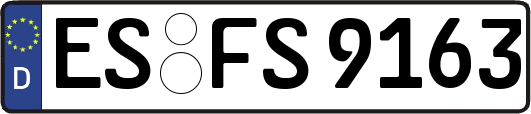 ES-FS9163