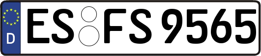 ES-FS9565
