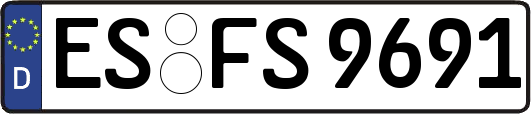 ES-FS9691