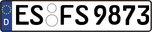 ES-FS9873