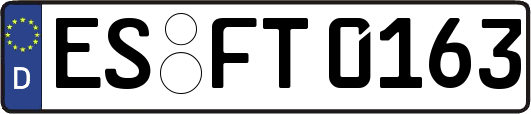 ES-FT0163
