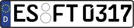 ES-FT0317