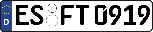 ES-FT0919