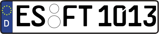 ES-FT1013