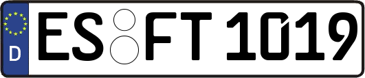 ES-FT1019