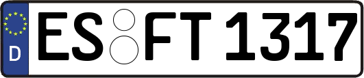 ES-FT1317