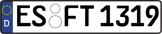 ES-FT1319