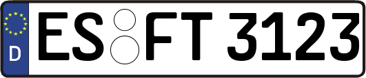 ES-FT3123
