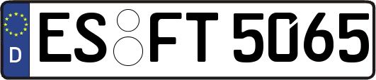 ES-FT5065