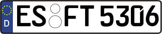 ES-FT5306