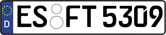ES-FT5309