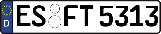 ES-FT5313
