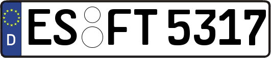 ES-FT5317