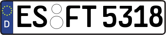 ES-FT5318