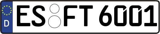 ES-FT6001