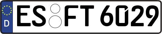 ES-FT6029