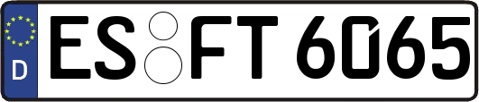 ES-FT6065