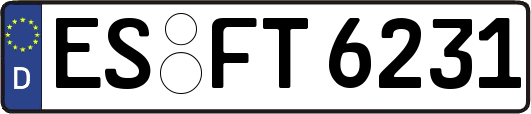 ES-FT6231