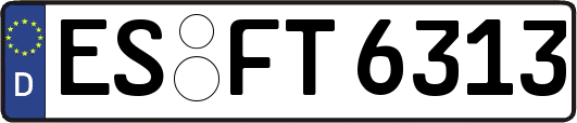 ES-FT6313