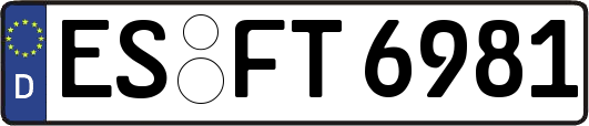 ES-FT6981