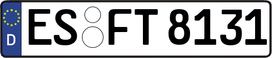 ES-FT8131