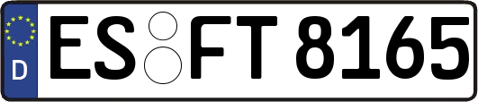 ES-FT8165