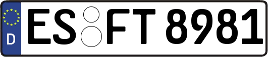 ES-FT8981