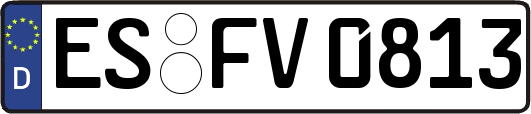ES-FV0813