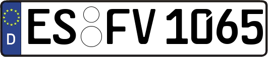 ES-FV1065