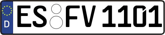 ES-FV1101