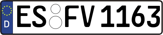 ES-FV1163