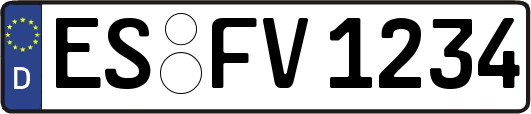 ES-FV1234
