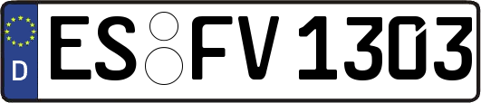 ES-FV1303