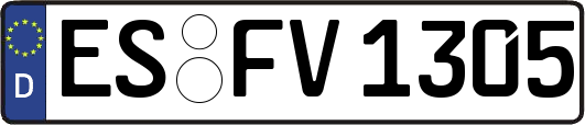 ES-FV1305