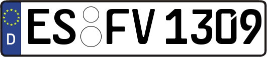 ES-FV1309