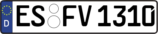ES-FV1310