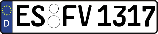 ES-FV1317