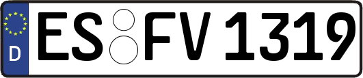 ES-FV1319