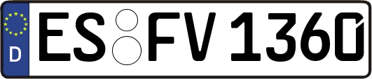 ES-FV1360