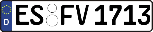 ES-FV1713